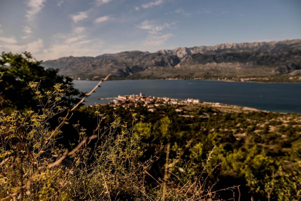 Villa La Familia, Zadar,